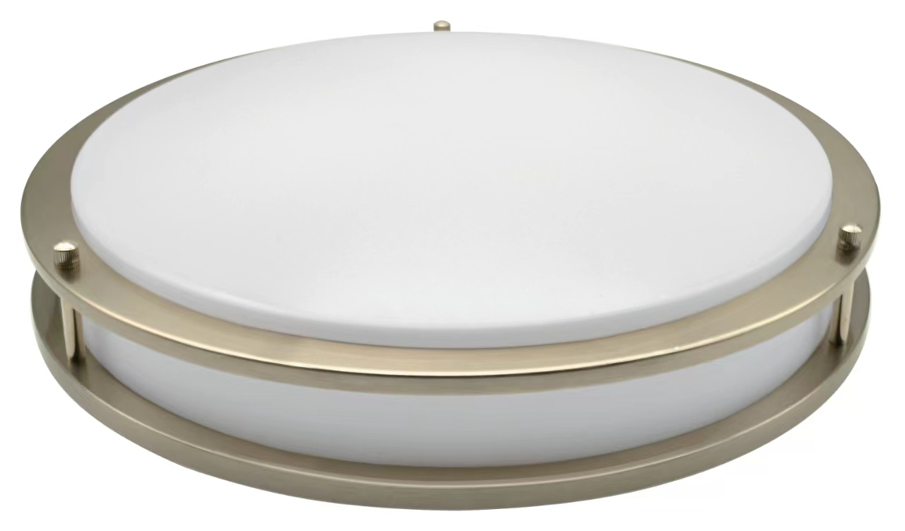 Double ring surface mount ceiling light